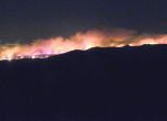 Само за една нощ на френската Ривиера свирепи пожари изпепелиха 5000 хектара, хиляди са евакуирани
