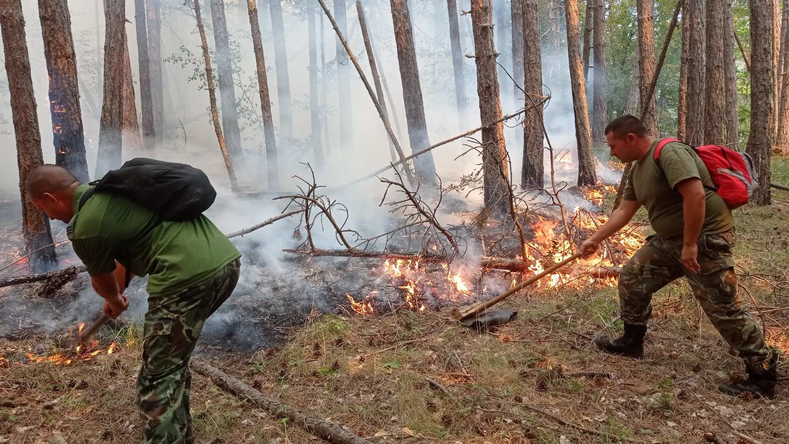 Пожарът над родопското село Югово се разпали с нова сила