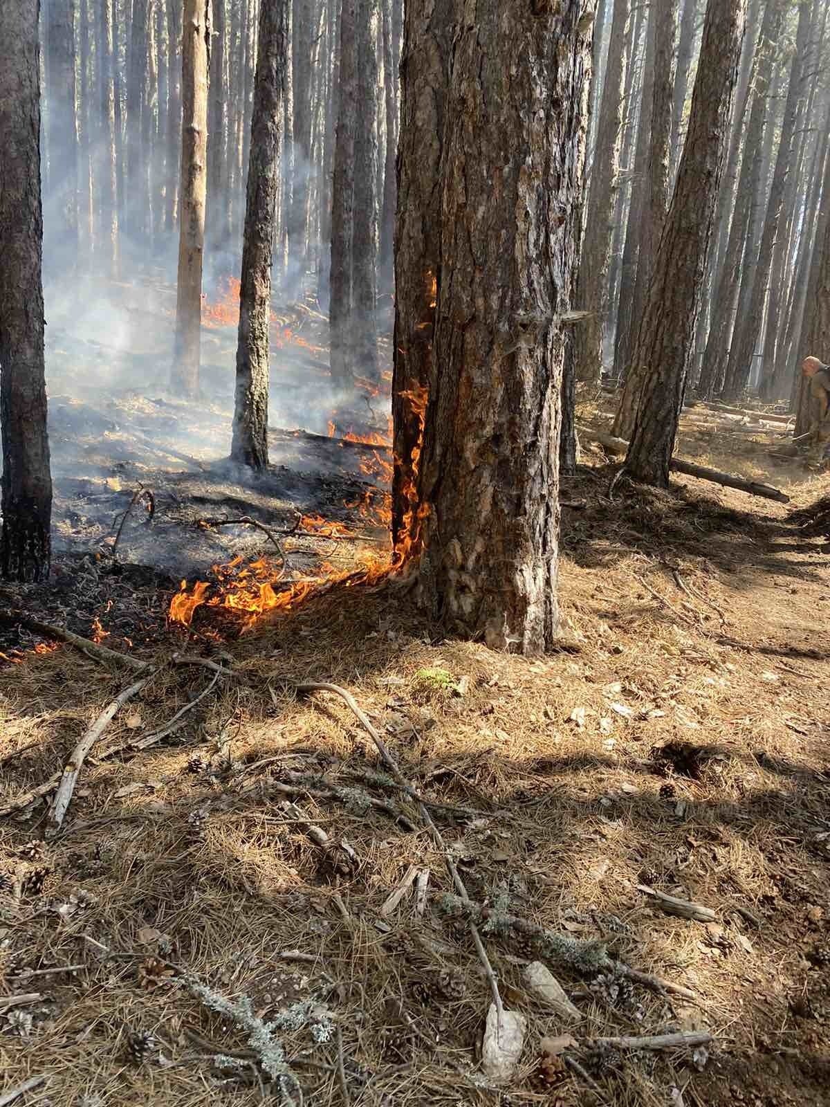Големият пожар в Родопите се разширява и приближава село Югово