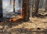 Пожарът в Родопите се разширява, приближава Югово