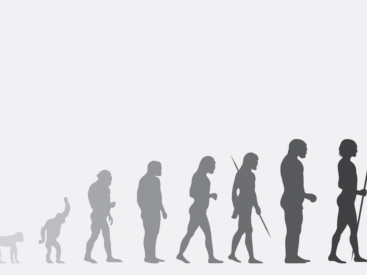 Еволюцията на човека продължава и сега По мнение на учените