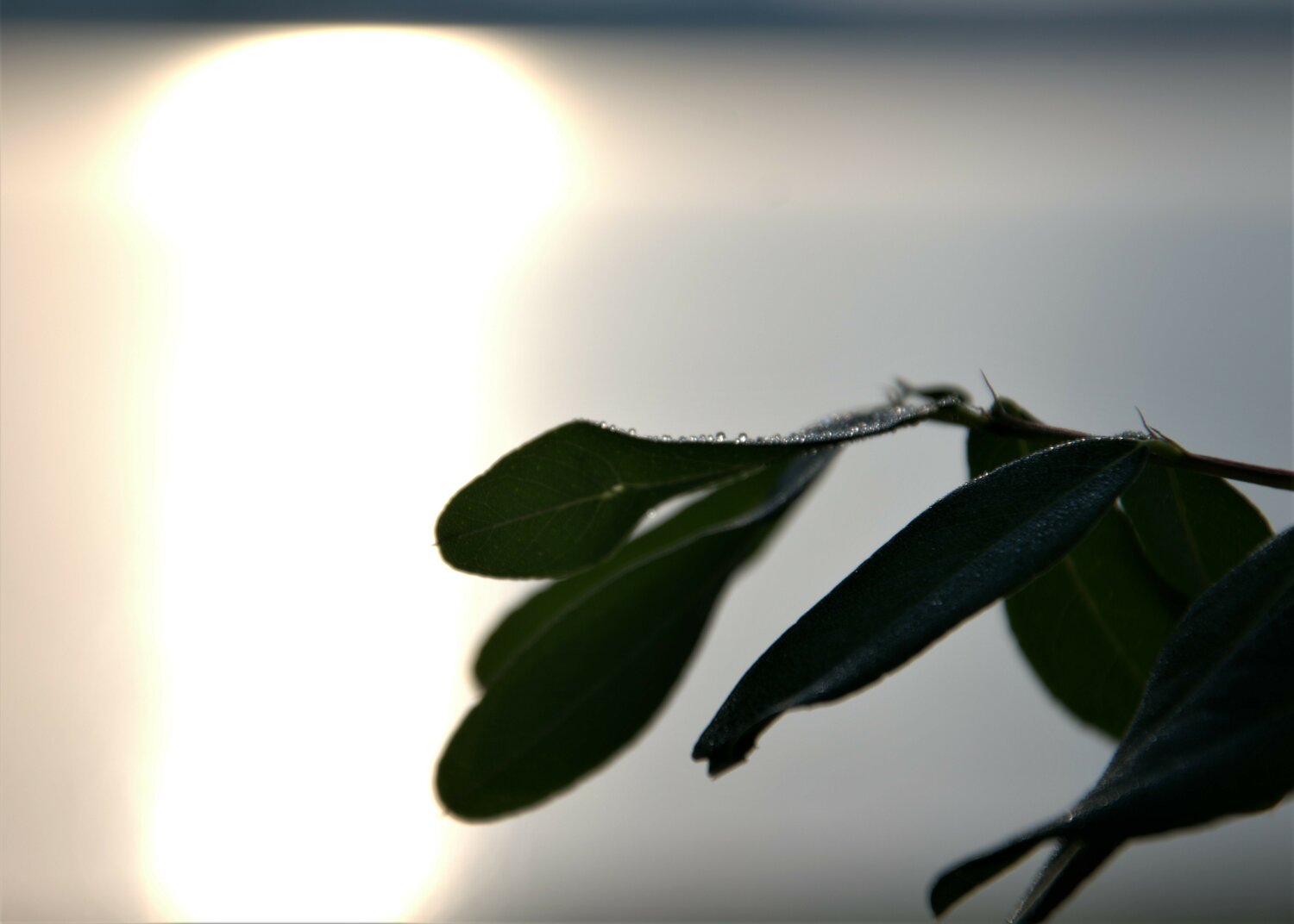 Днес ще е слънчево и топло с максимални температури между