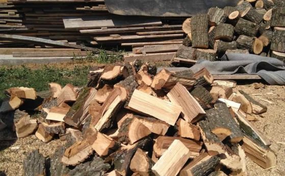 Над 1 милион куб м дърва за огрев ще бъдат