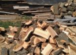 Над 1 млн. куб. м. дърва помощи за огрев осигурени за зимния сезон