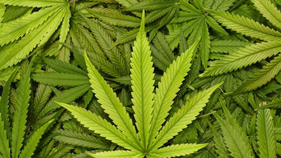 Софийската градска прокуратура привлече като обвиняеми трима мъже на 39