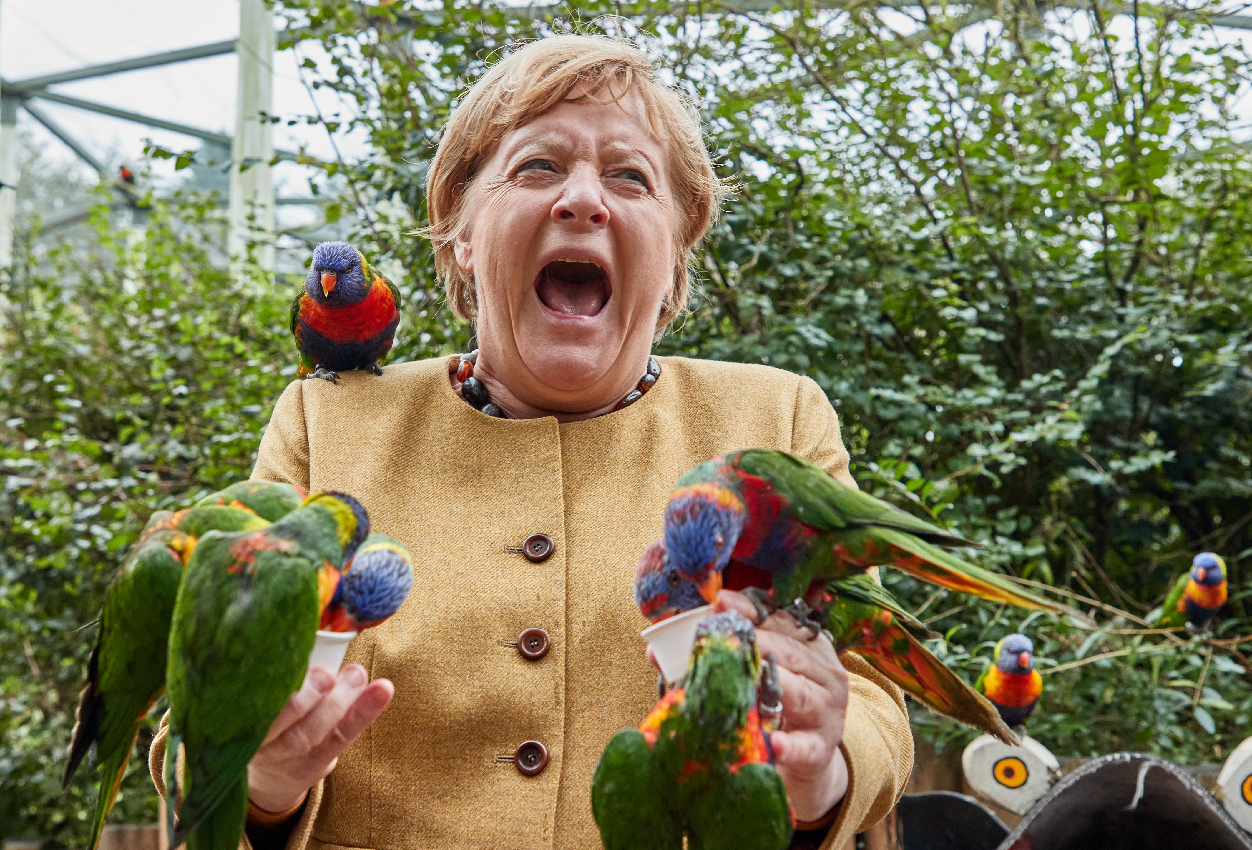 Германският канцлер Ангела Меркел се срещна с някои цветни избиратели
