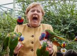 Меркел на прощална обиколка: Ето как реагира на папагалите (снимки)
