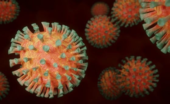Още 1370 на новозаразените с коронавирус през последното денонощие 87 01