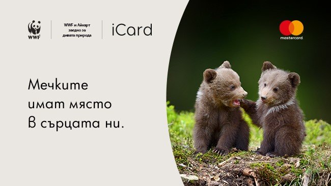 Представете си света без мечки Не само Лео ди Каприо