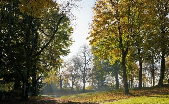 Повече облаци ще има днес На много места ще превали