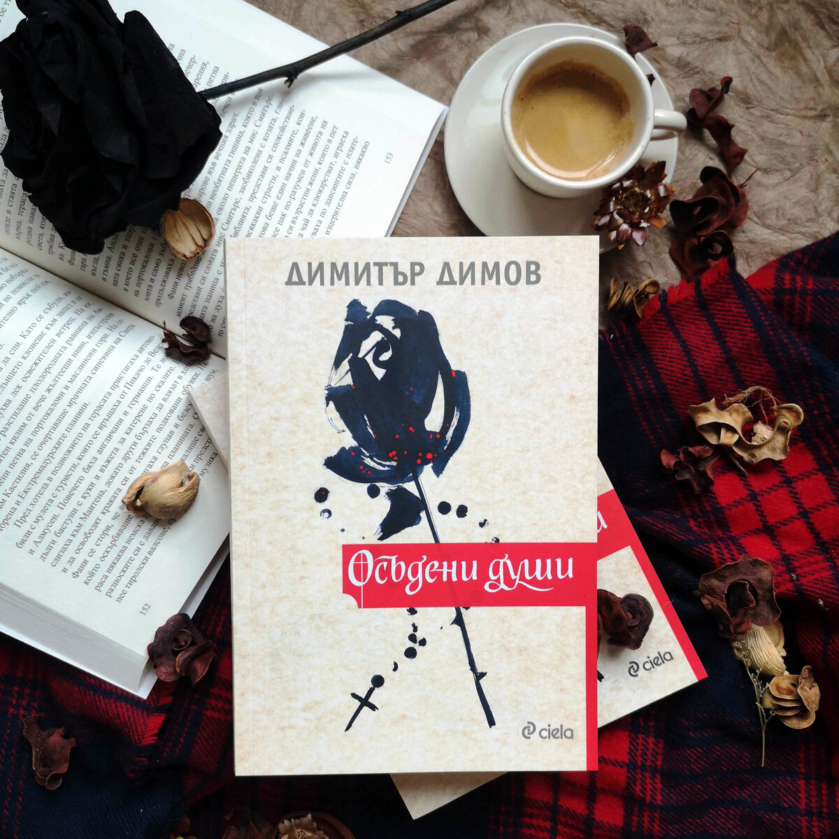 След дълго отсъствие в книжарниците вече може да бъде открито