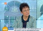 Анастасова: Вътрешната опозиция в БСП има изгода да не бъде съставен кабинет, тя трудно прие Радев