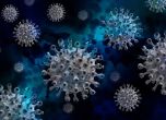 Как да различим COVID от настинка и грип?