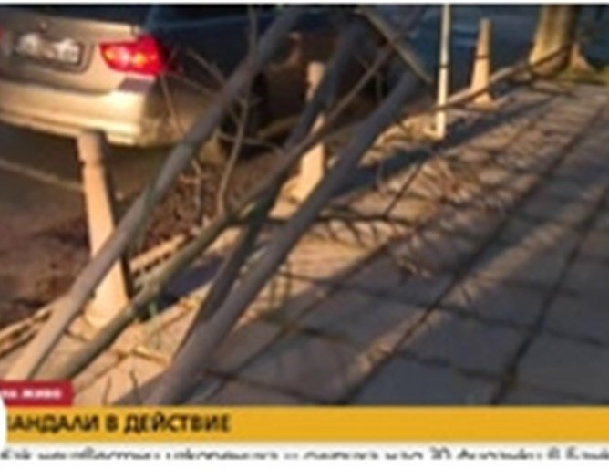 Вандали са изкоренили и изпочупили над 30 фиданки на главната