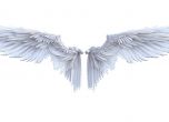 Крилете на ангела