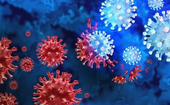 3176 са новите случаи на коронавирус у нас през последното