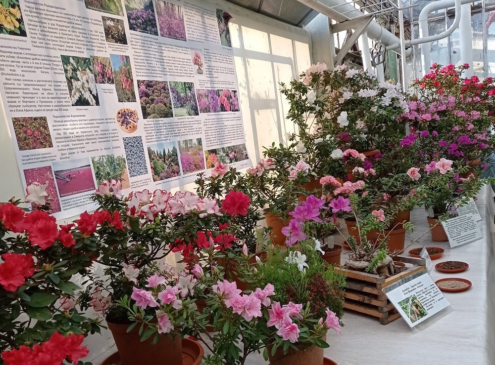 Ботаническата градина на БАН отваря врати днес за всички жители