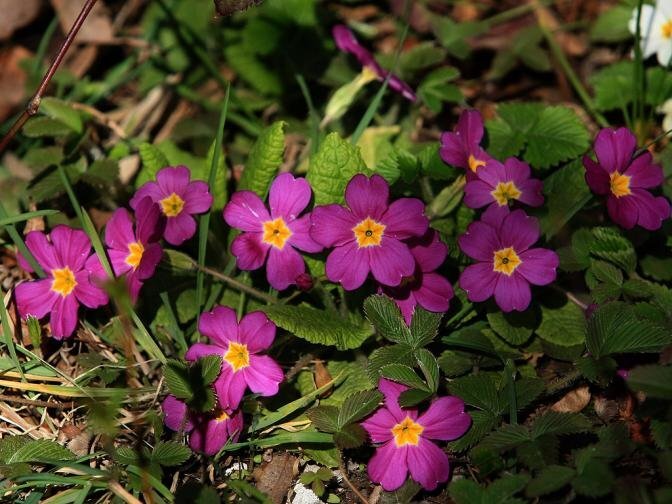 Топъл ден ни очаква и днес Температурите ще варират между нула