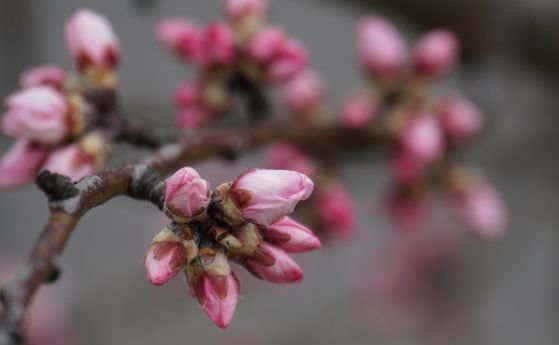 Слънчево ще е времето днес повече облаци ще има в