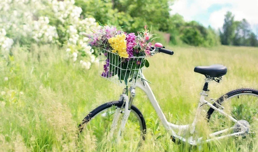 В събота ще е слънчево Максималните температури ще са между