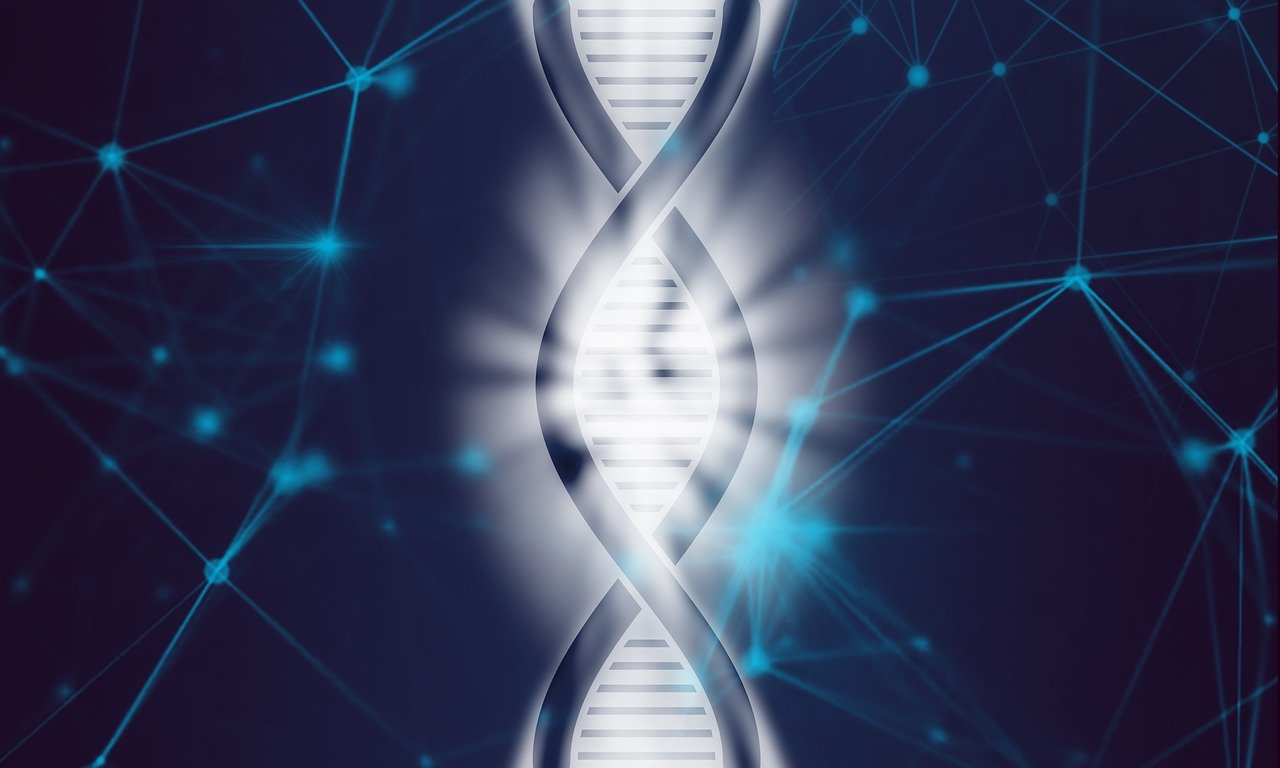 Учени публикуваха за първи път пълен човешки геном съобщи Ройтерс  Консорциум