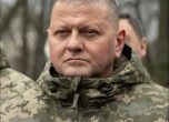 Залужни - военният лидер на Украйна, който не е звезда