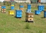 Отпуснаха 32 млн. лв. за земеделски стопани, помощ ще има и за пчелари