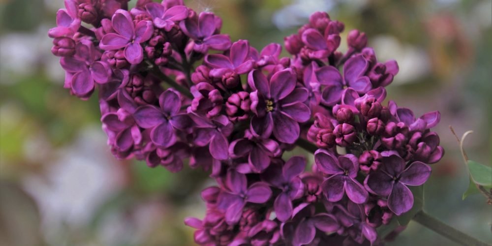 Последният ден от Великденските празници ще е слънчев за цялата