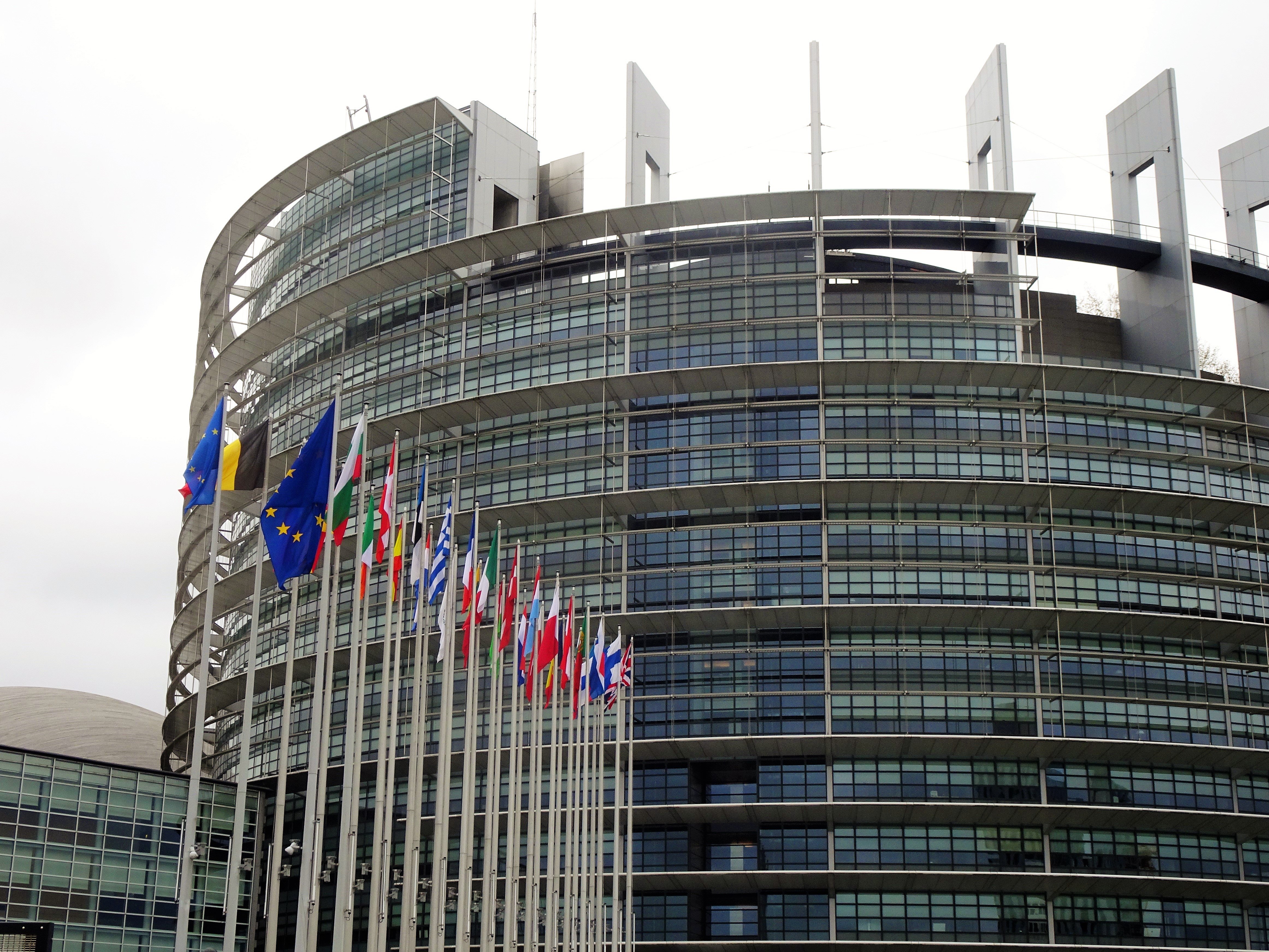 Европейският парламент ЕП призовава за незабавно паневропейско ембарго върху всички