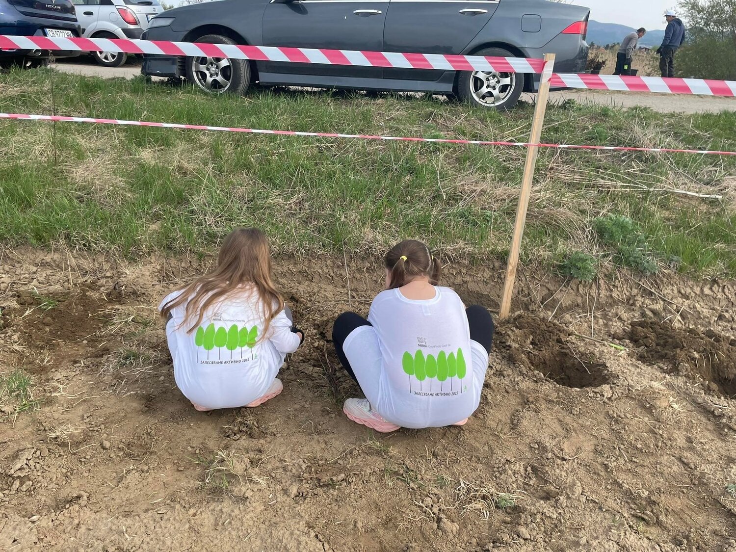 Колко дръвчета може да засадим заедно в Новата гора край