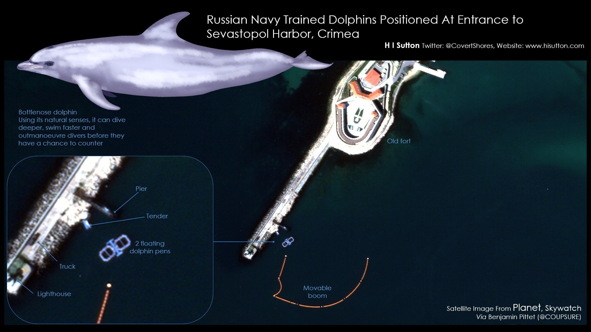 Специално обучени делфини са поставени на пост пред черноморската военна