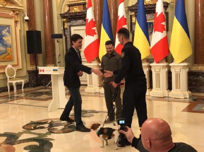 Талисманът на украинските сапьори и техен боен колега кучето Патрон