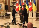Зеленски награди кучето-сапьор Патрон с медал `За вярна служба`