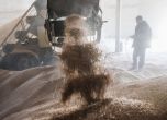 Украинското разузнаване: Русия изнася откраднатото ни зърно към Сирия и Близкия Изток