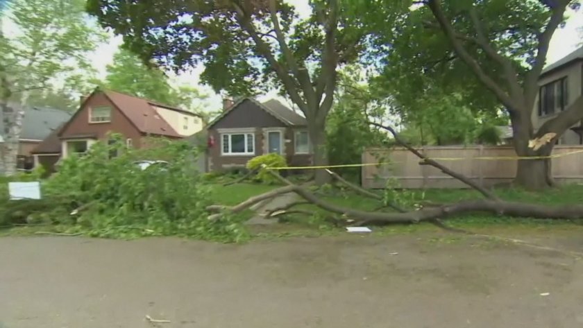 Мощна буря остави без ток близо 900 хиляди домакинства в