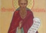 Св. Никита Халкидонски помагал на сираци и вдовици