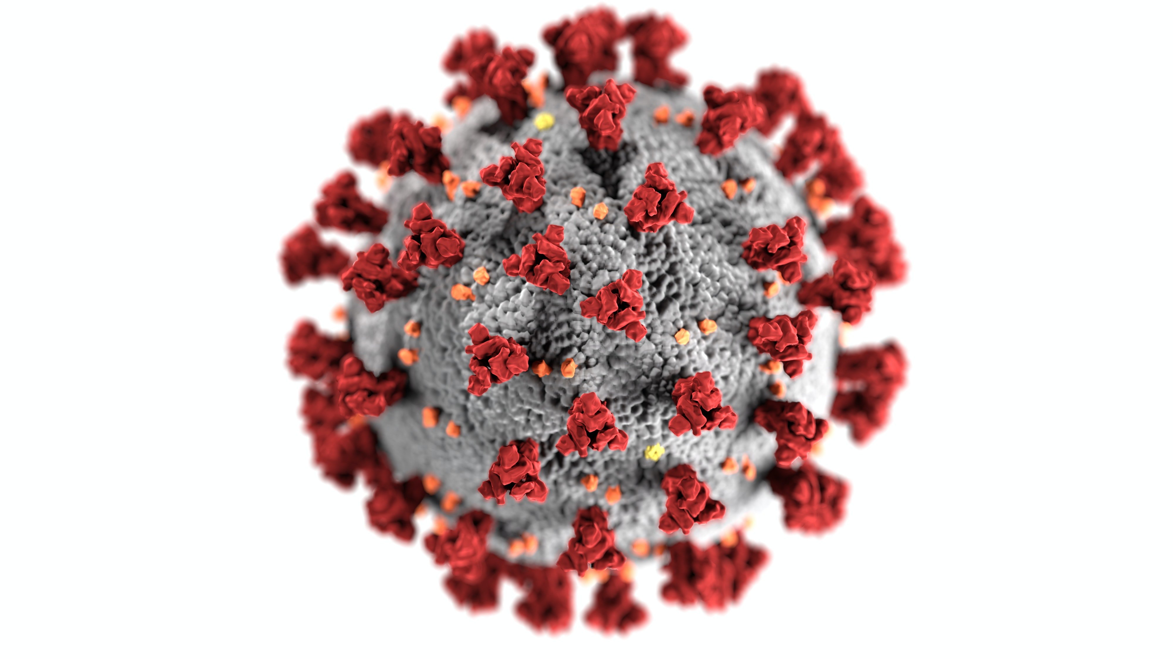133 заразени с коронавирус са регистрирани през последното денонощие по
