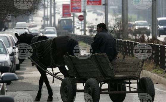 Каруца с коне по улиците на София