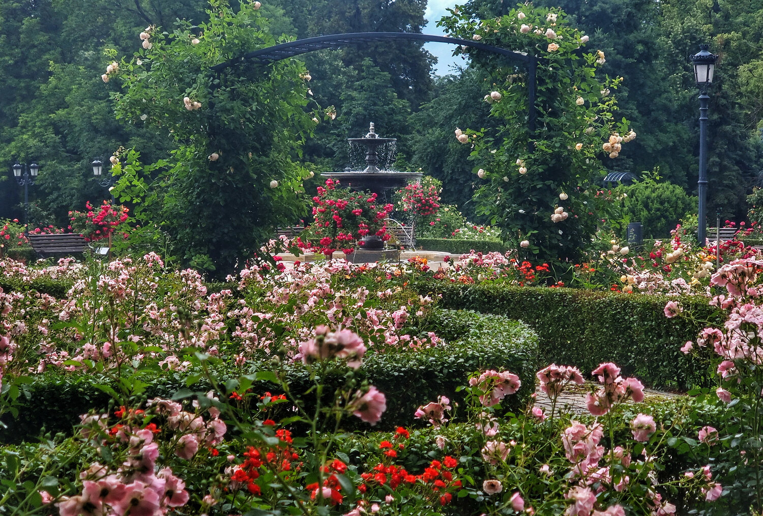 Валежите започват да намаляват Отново ще вали в почти цялата