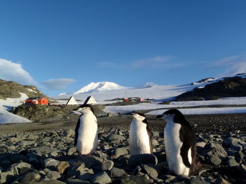 Съвременни научни изследвания в отдалечените полярни райони на Антарктика и