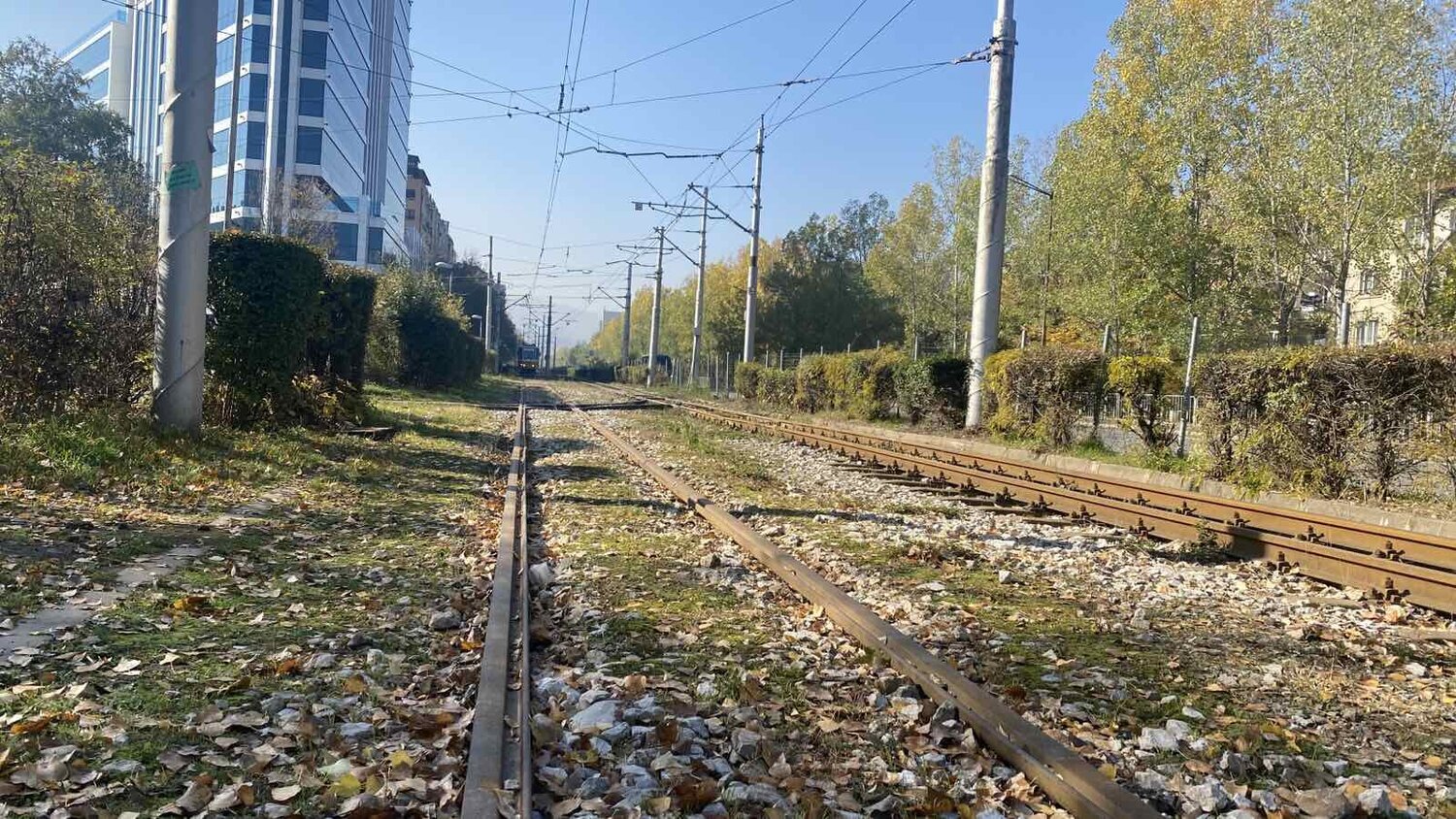 Над 9500 м жив плет от вида птиче грозде разположен