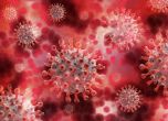 Повторното заразяване с COVID е все по-вероятно заради еволюцията на вируса