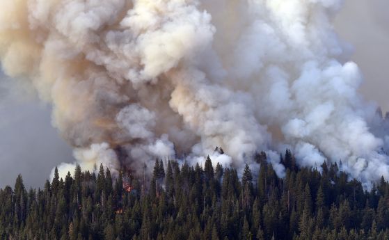Пожарът, застрашаващ националния природен парк Йосемити