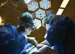 В САЩ трансплантираха успешно свински сърца на пациенти в мозъчна смърт