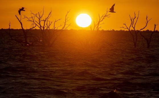 Езерото Мендини, Австралия. 21 септември 2021 г.