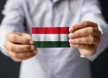 EUobserver се поправи: Заподозряната като шпионка сътрудничка работела за унгарски евродепутат