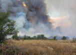 Армията изпрати хеликоптер на пожар в Панагюрско, огънят от сухи треви навлезе в гората към Елшица (обновена)