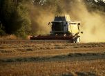 Зърнопроизводители на протести в редица градове заради 'безконтролния внос на украинско зърно'