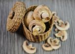 Печурките - природни пробиотици и антидепресанти