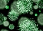 Хибрид между грипен и респираторен вирус откриха учените